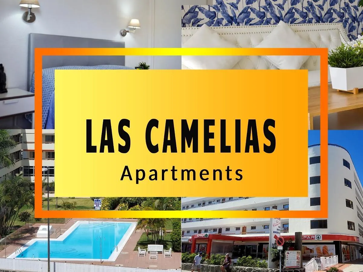 Las Camelias Apartments C14 Playa del Ingles  Spain