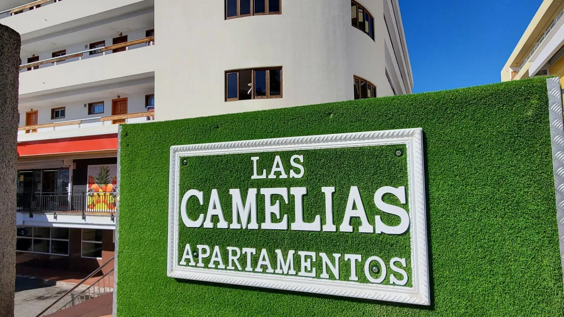 Las Camelias Apartments C14 Playa del Ingles   Playa del Ingles (Gran Canaria)
