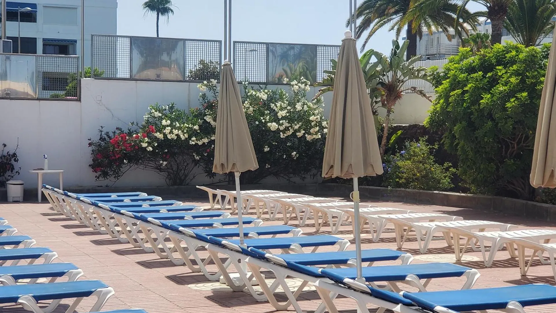 Las Camelias Apartments C14 Playa del Ingles  0*, Playa del Ingles (Gran Canaria) Spain
