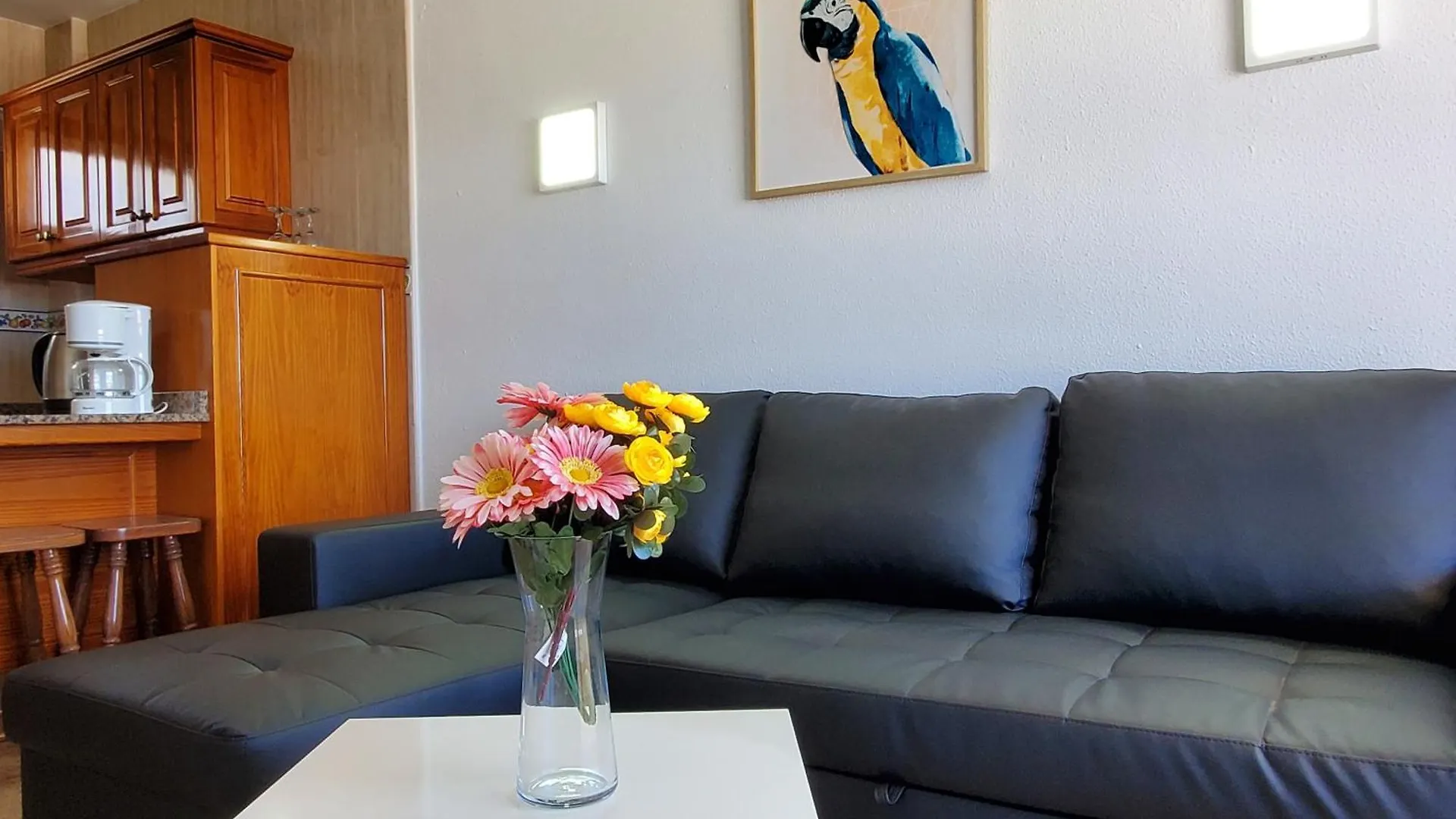 Las Camelias Apartments C14 Playa del Ingles  0*, Playa del Ingles (Gran Canaria) Spain