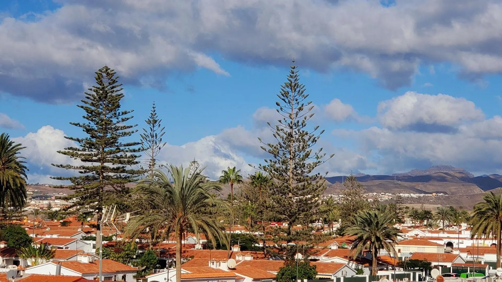 Las Camelias Apartments C14 Playa del Ingles